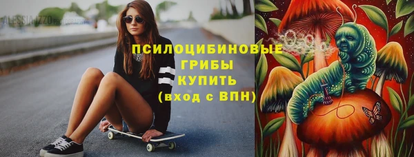 стафф Алексин