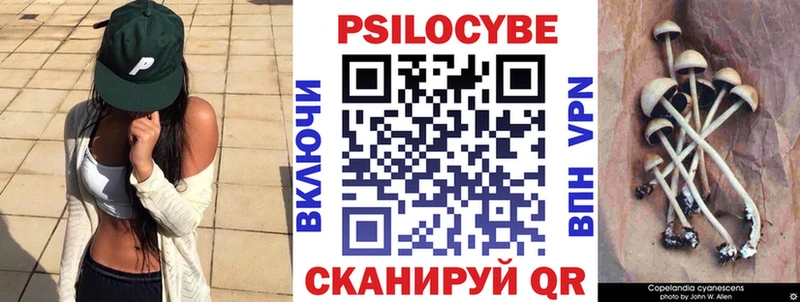 Псилоцибиновые грибы Psilocybine cubensis Каргат